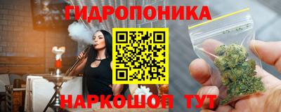 apvp Магадан