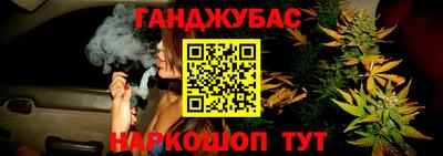 герыч Майкоп