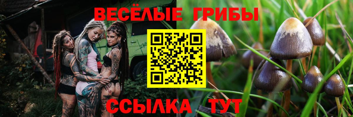 Галлюциногенные грибы Magic Shrooms Великий Устюг